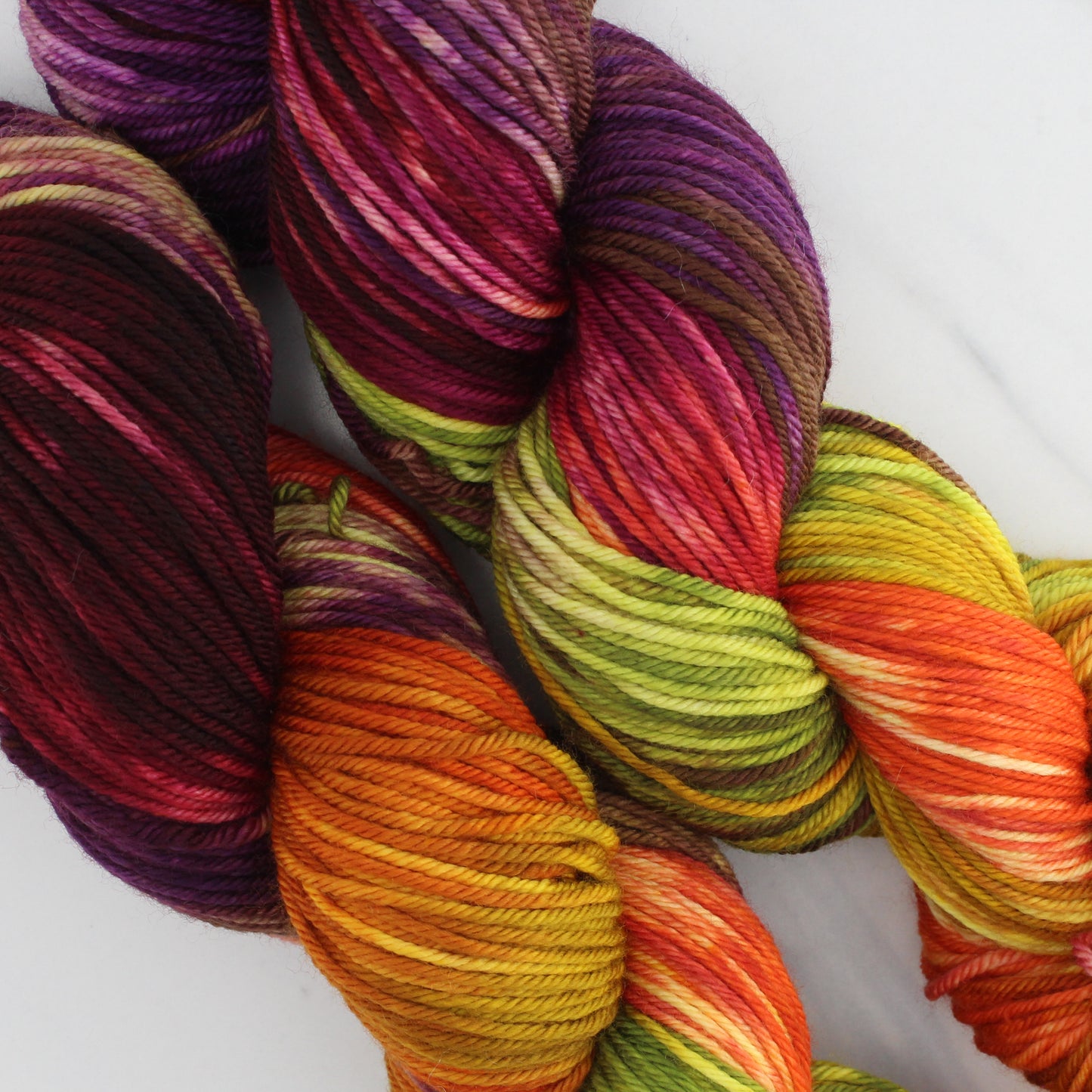 AUTUMN LEAVES Hand-Dyed on Squoosh DK - Block Variegated Yarn