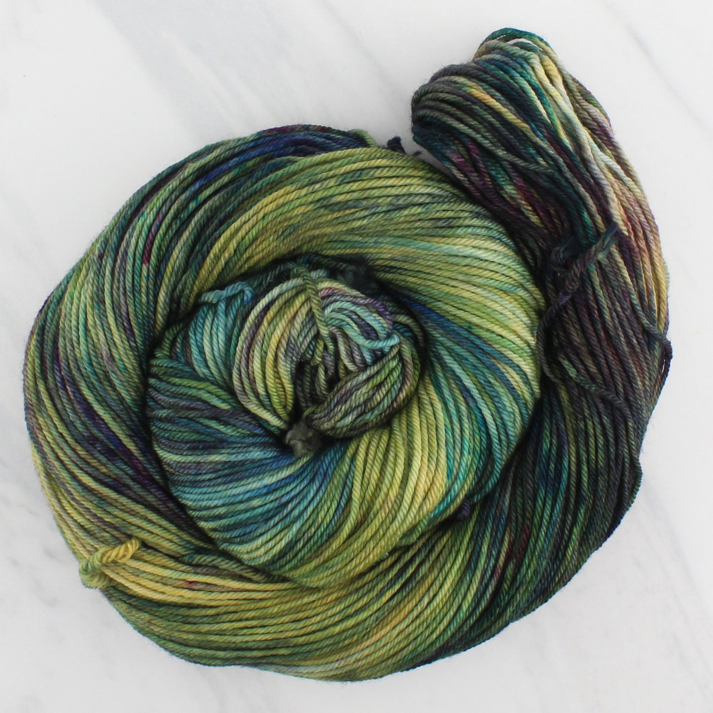 ENCHANTED FOREST on Squoosh DK - Indie-Dyed Yarn