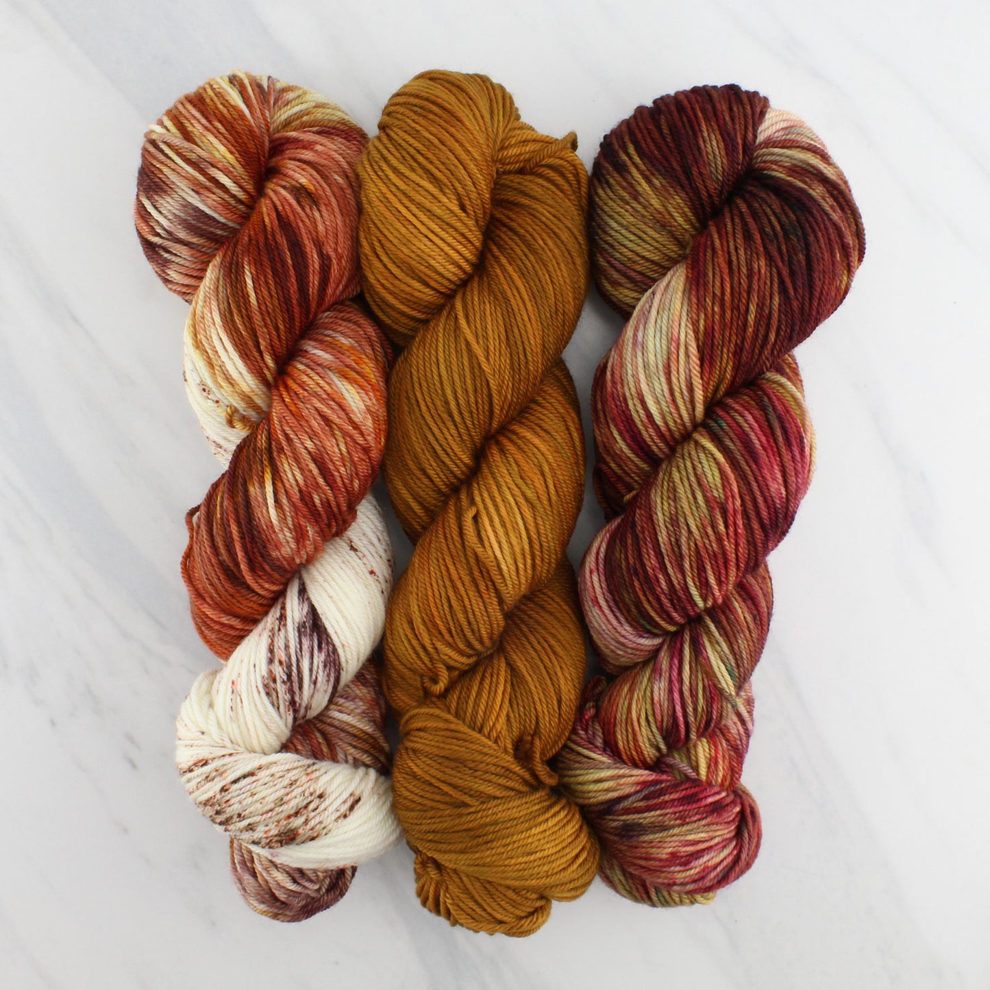 PUMPKIN SPICE LATTE Hand Dyed on Squoosh DK - Assigned Pooling Yarn