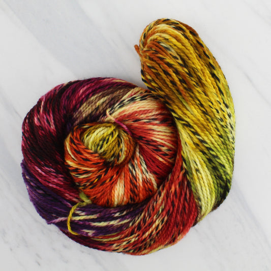 AUTUMN LEAVES Hand Dyed on Stained Glass DK - Block Variegated Yarn