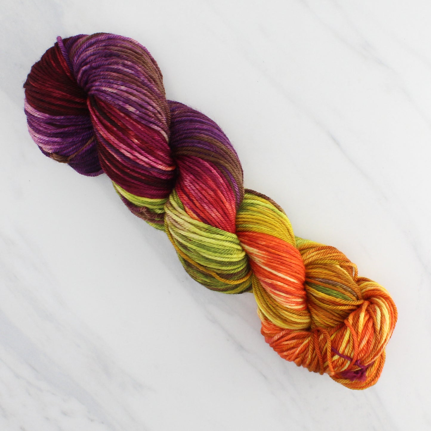 AUTUMN LEAVES Hand-Dyed on Squoosh DK - Block Variegated Yarn