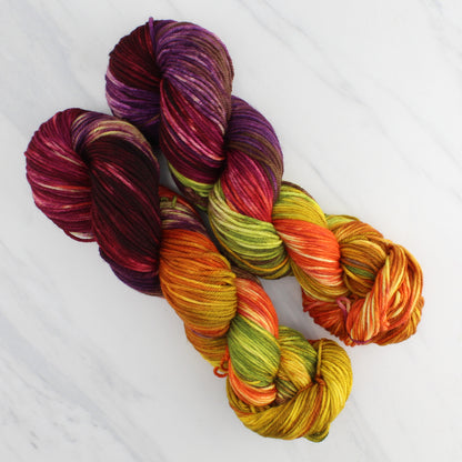 AUTUMN LEAVES Hand-Dyed on Squoosh DK - Block Variegated Yarn