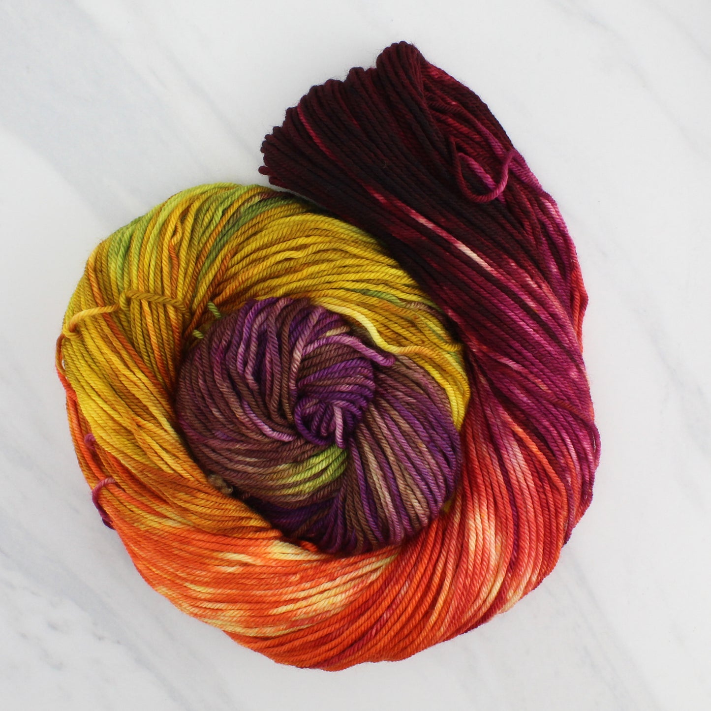 AUTUMN LEAVES Hand-Dyed on Squoosh DK - Block Variegated Yarn