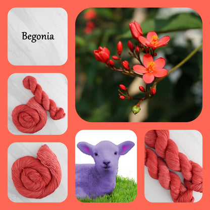 BEGONIA - Yarn Dyed to Order