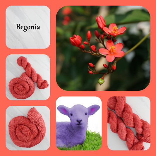 BEGONIA - Yarn Dyed to Order