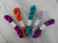 BOOKSTORE ON A RAINY DAY Mini-Skein Set of Five - Hand-Dyed 20 gram Sock-Weight Mini Skeins on Splendid Sock
