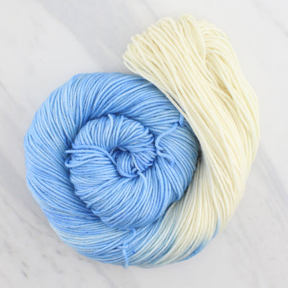 CLOUD GAZING Hand Dyed on Squoosh Worsted - Assigned Pooling Yarn