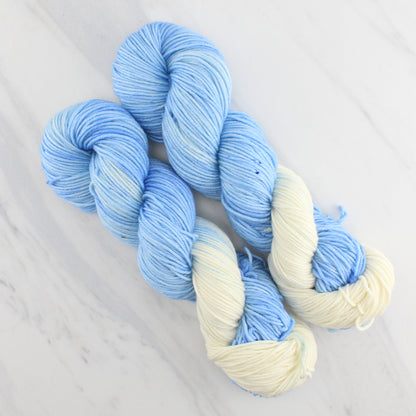 CLOUD GAZING Hand Dyed on Squoosh Worsted - Assigned Pooling Yarn