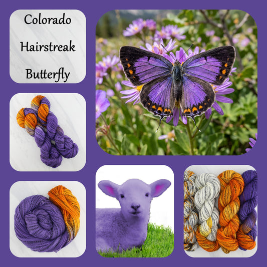 Butterfly Collection - COLORADO HAIRSTREAK - Yarn Dyed to Order -  Assigned Pooling Colorway