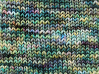 ENCHANTED FOREST Hand-Dyed on Squoosh Worsted