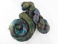 ENCHANTED FOREST Hand-Dyed on Squoosh Worsted