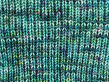 EOWYN PLEADS WITH ARAGORN Indie-Dyed Yarn on Squoosh DK