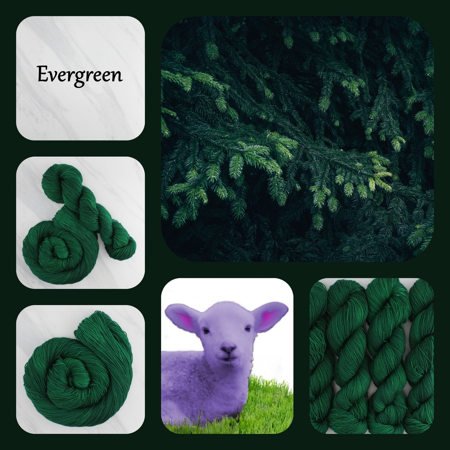 EVERGREEN - Yarn Dyed to Order