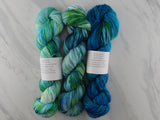 VISIT TO LYME Hand-Dyed Yarn on Sock Perfection