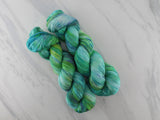 GALADRIEL'S GIFT Indie-Dyed Yarn on Feather Sock