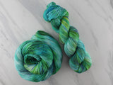 GALADRIEL'S GIFT Indie-Dyed Yarn on Feather Sock
