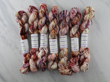 IMPRESSIONS OF AUTUMN - Mini Skeins on Silken Sock