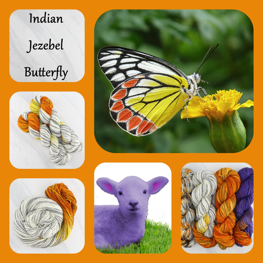 Butterfly Collection - INDIAN JEZEBEL - Yarn Dyed to Order - Assigned Pooling Colorway