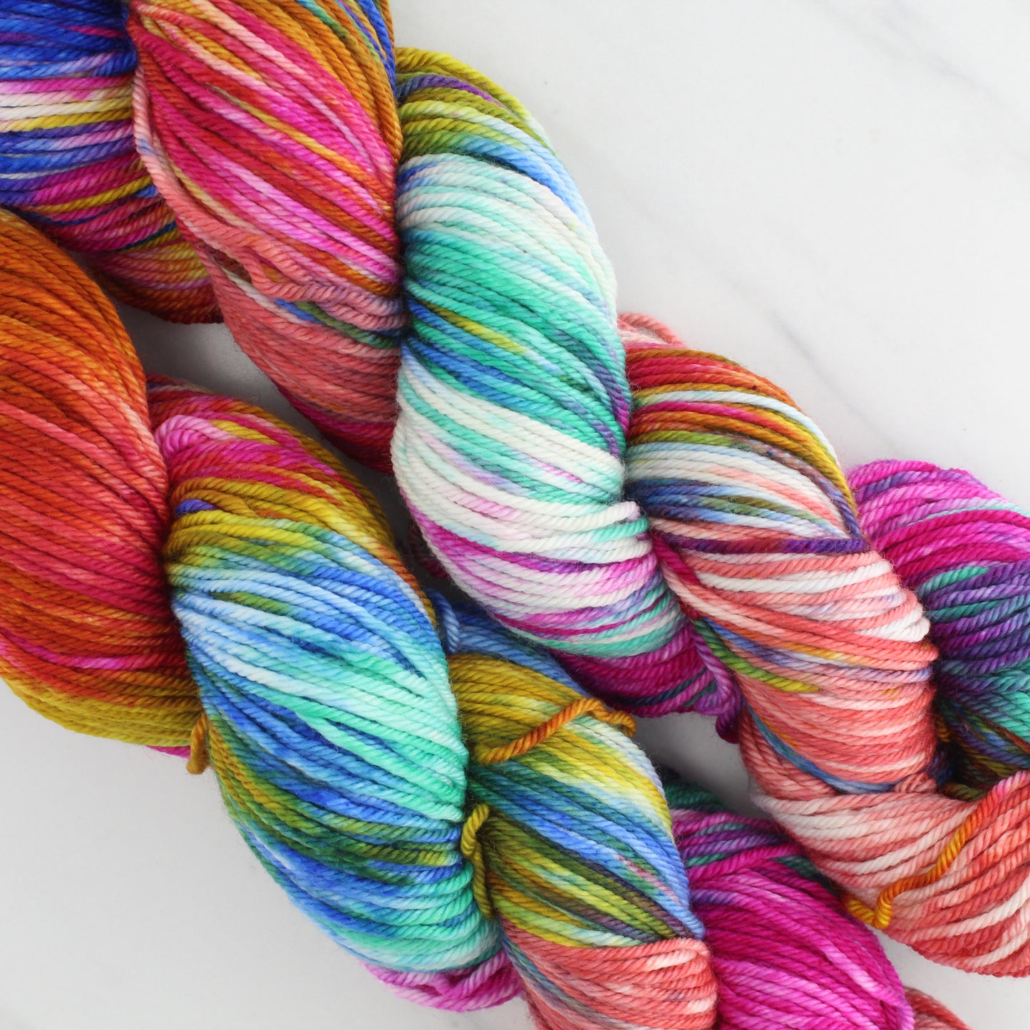 MASACCIO'S TRIBUTE MONEY Hand Dyed on Squoosh DK - Block Variegated Colorway