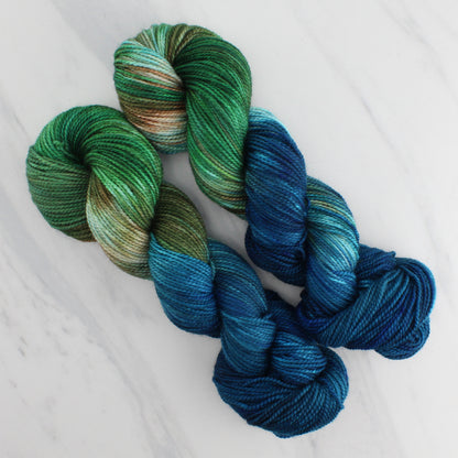 PLANET EARTH Hand Dyed on Buttery Soft DK - Block Variegated Yarn