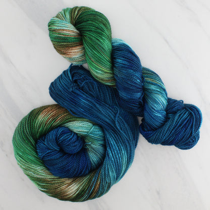 PLANET EARTH Hand Dyed on Buttery Soft DK - Block Variegated Yarn