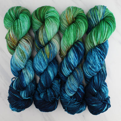 PLANET EARTH Hand Dyed on Squoosh DK - Block Variegated Colorway