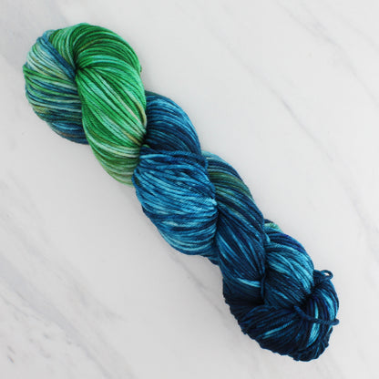 PLANET EARTH Hand Dyed on Squoosh DK - Block Variegated Colorway