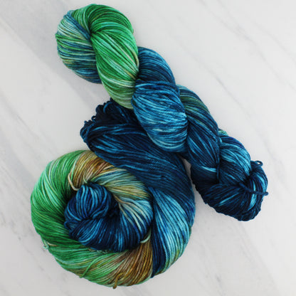PLANET EARTH Hand Dyed on Squoosh DK - Block Variegated Colorway