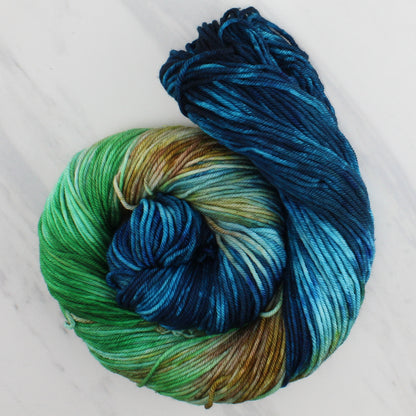 PLANET EARTH Hand Dyed on Squoosh DK - Block Variegated Colorway