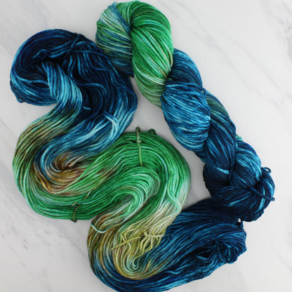 PLANET EARTH Hand Dyed on Squoosh DK - Block Variegated Colorway