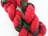 POINSETTIA Indie-Dyed Yarn on Squoosh DK