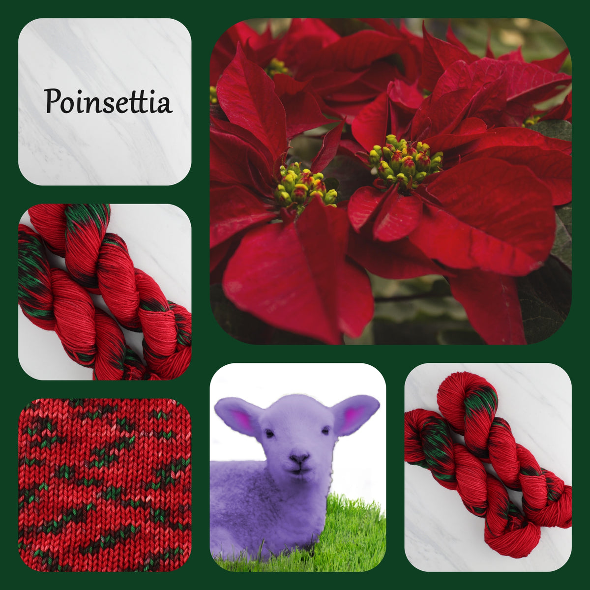 POINSETTIA - Yarn Dyed to Order