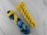 POOLS OF COLOR SHAWL by Deborah Bowanko - YARN SET #6 with Van Gogh's Starry Night on Sock Perfection and Sunflower Minis