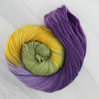 PURPLE IRIS Hand Dyed on Buttery Soft DK - Block Variegated Colorway