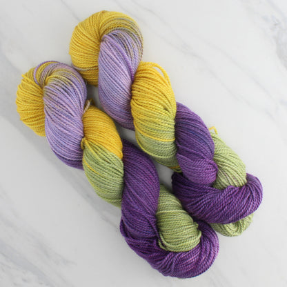 PURPLE IRIS Hand Dyed on Buttery Soft DK - Block Variegated Colorway