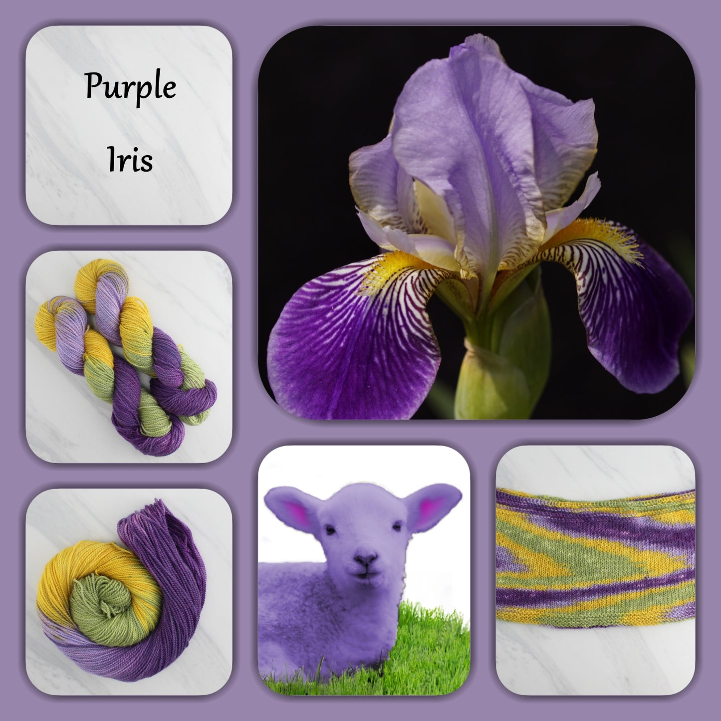 PURPLE IRIS - Yarn Dyed to Order