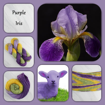 PURPLE IRIS - Yarn Dyed to Order