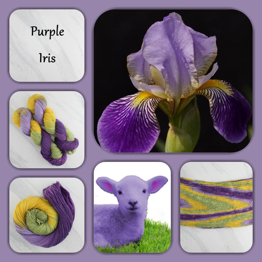 PURPLE IRIS - Yarn Dyed to Order
