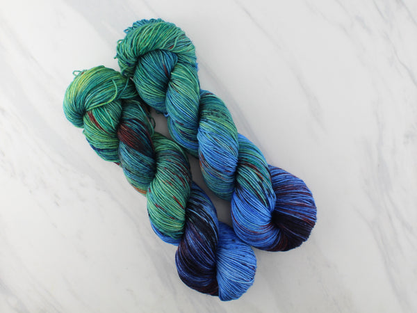 RAINFOREST Hand-Dyed Yarn on Sock Perfection (OOAK)