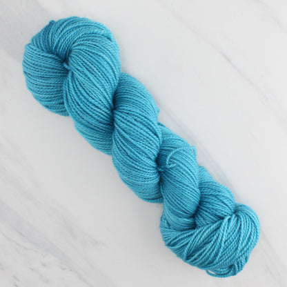 RENAISSANCE BLUE Hand Dyed on Buttery Soft DK  - Semi-Solid Yarn