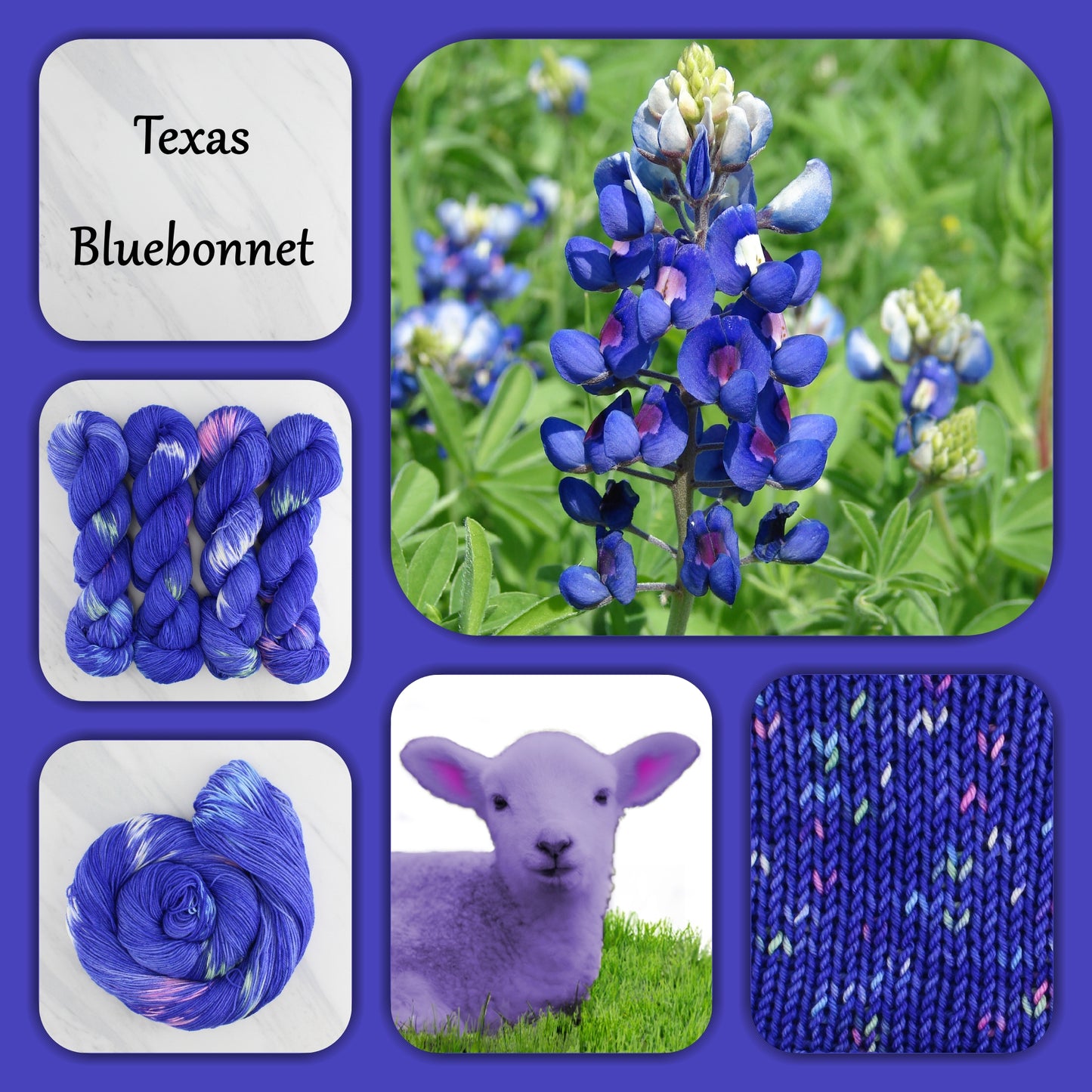 TEXAS BLUEBONNET - Yarn Dyed to Order