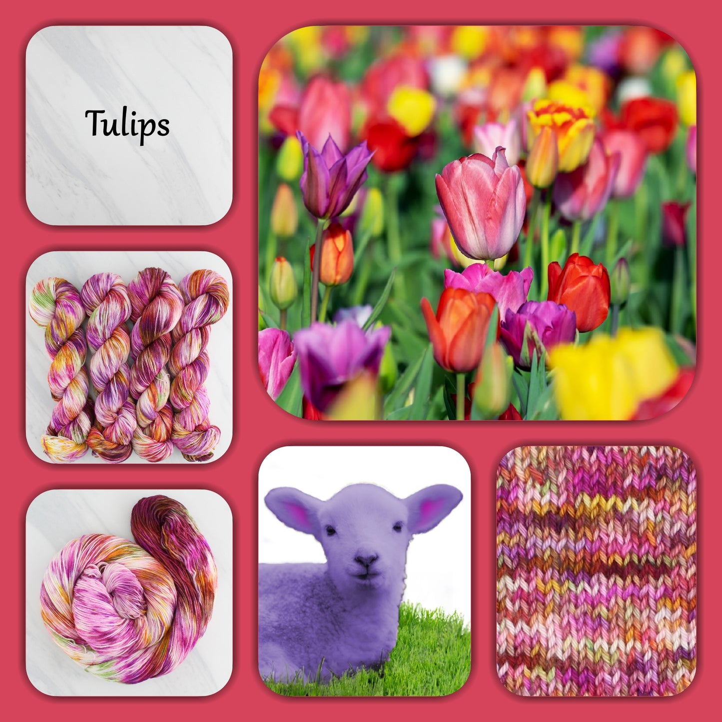 TULIPS - Yarn Dyed to Order