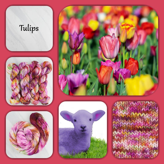 TULIPS - Yarn Dyed to Order