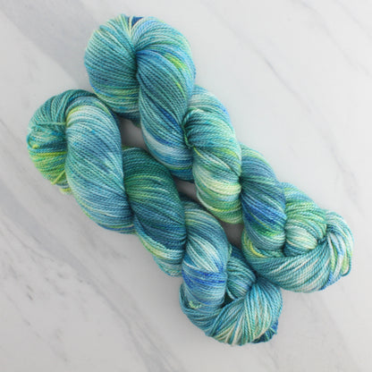 VISIT TO LYME Hand-Dyed on Buttery Soft DK - Splashed & Speckled Colorway