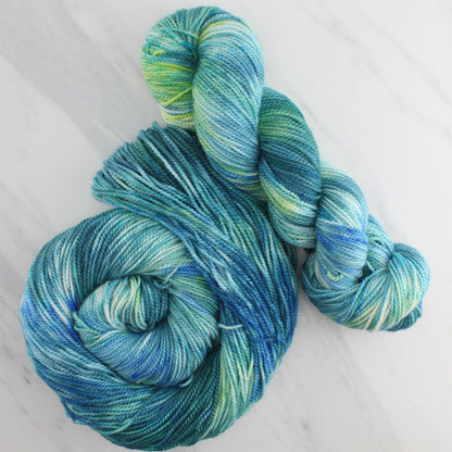 VISIT TO LYME Hand-Dyed on Buttery Soft DK - Splashed & Speckled Colorway