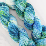 VISIT TO LYME on Sparkly Merino Sock