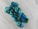 VISIT TO LYME Hand-Dyed on Squoosh Worsted