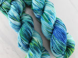 VISIT TO LYME Hand-Dyed on Squoosh Worsted