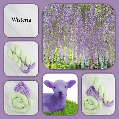 WISTERIA - Yarn Dyed to Order - Assigned Pooling Colorway