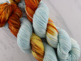FIRE AND ICE Indie-Dyed Yarn on Squoosh DK - Assigned Pooling